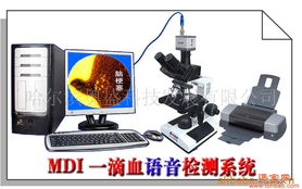 哈尔滨奥盛科技发展有限公司 专业供应心脑血管检测仪，提供技术交流与产品支持